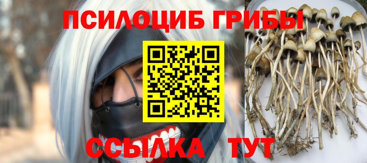Галлюциногенные грибы MAGIC MUSHROOMS Тобольск